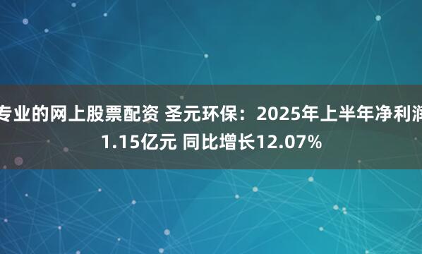 专业的网上股票配资 圣元环保：2025年上半年净利润1.15亿元 同比增长12.07%